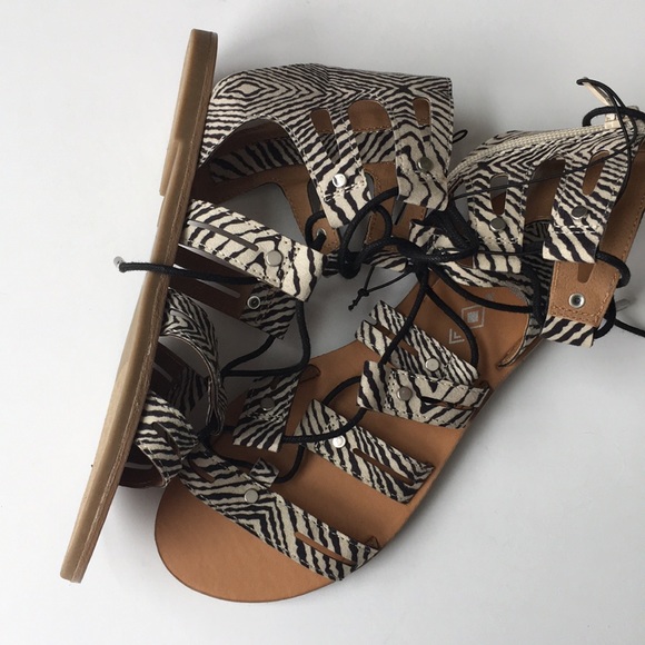 dv Gracelyn Lace Up Gladiator Sandals Zebra New - Picture 5 of 7